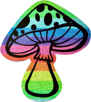 RN Desktop Homepage -34