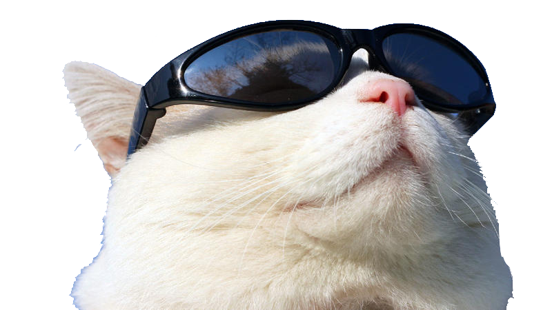 kisspng-sunscreen-github-cat-wearing-sunglasses-t-5a9a1dc6ceeb45.7579833015200496068476