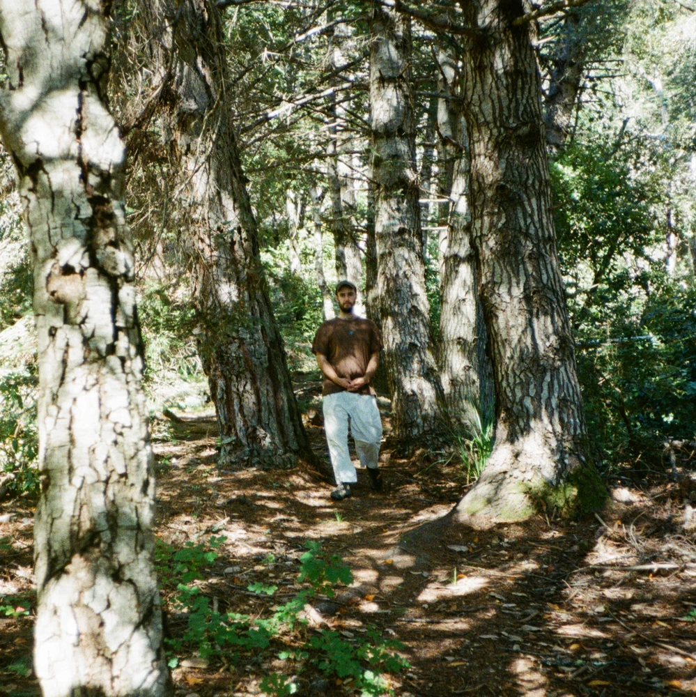 Genovate DNA Cousin Test Kit - $159.00, image size:999x1000