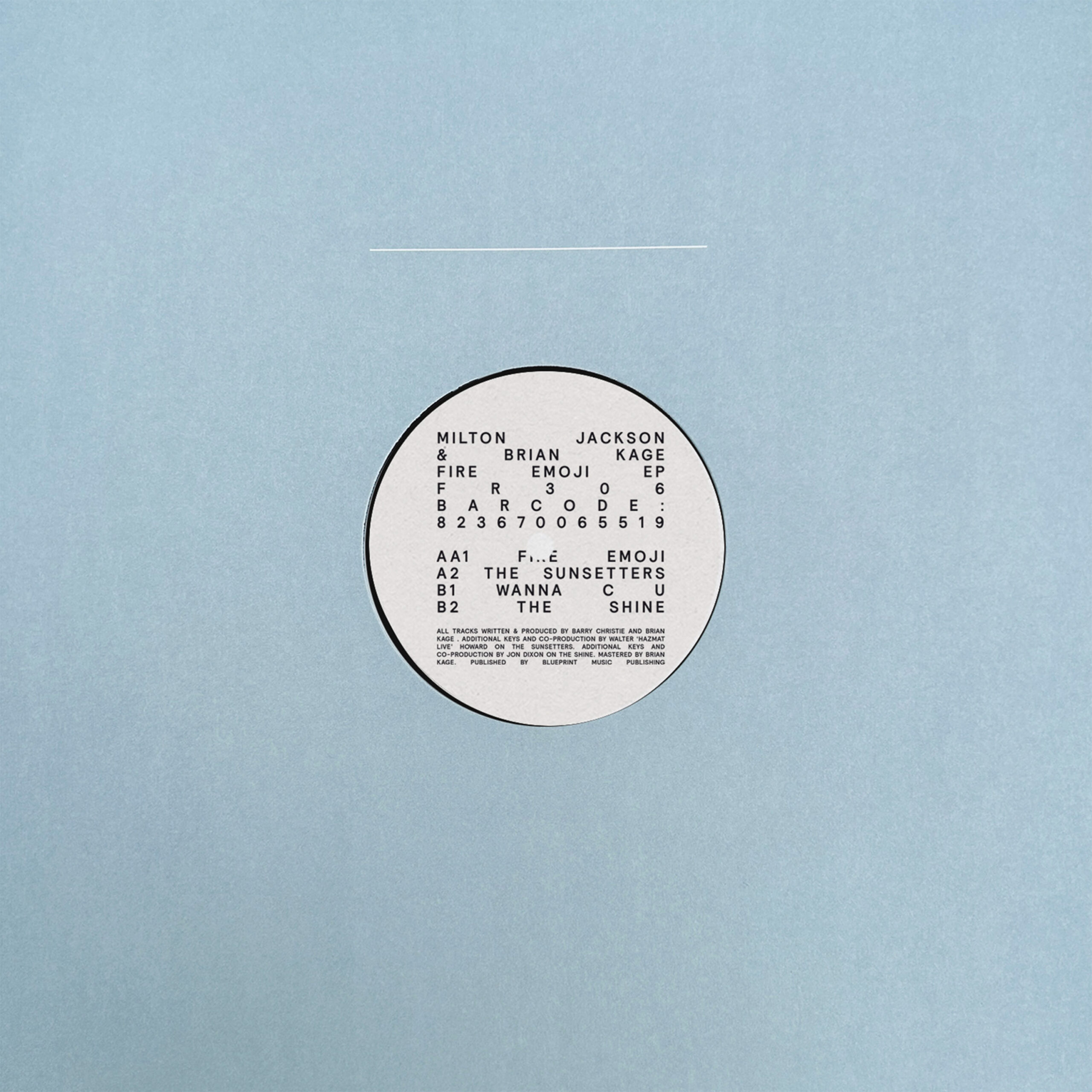 FR306 – Vinyl Mock Up