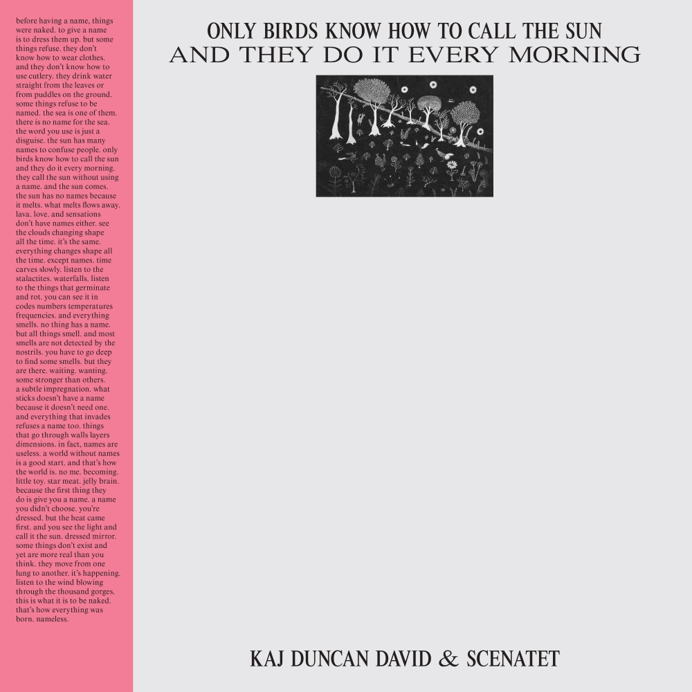 Kaj Duncan David & Scenatet – Only Birds ARTWORK (HEX010_LP_Front – 1000×1000)