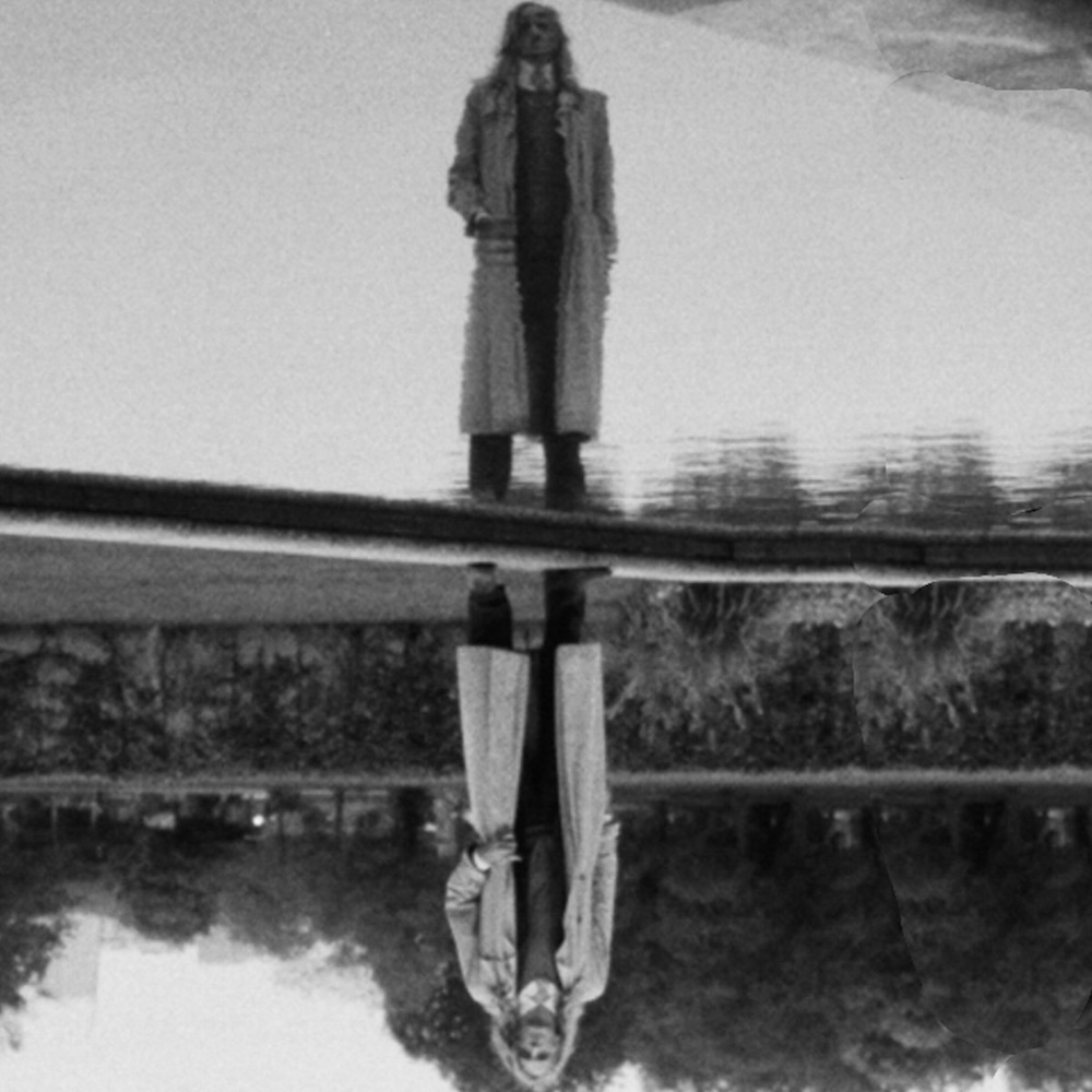 Capitol K – Artichoke