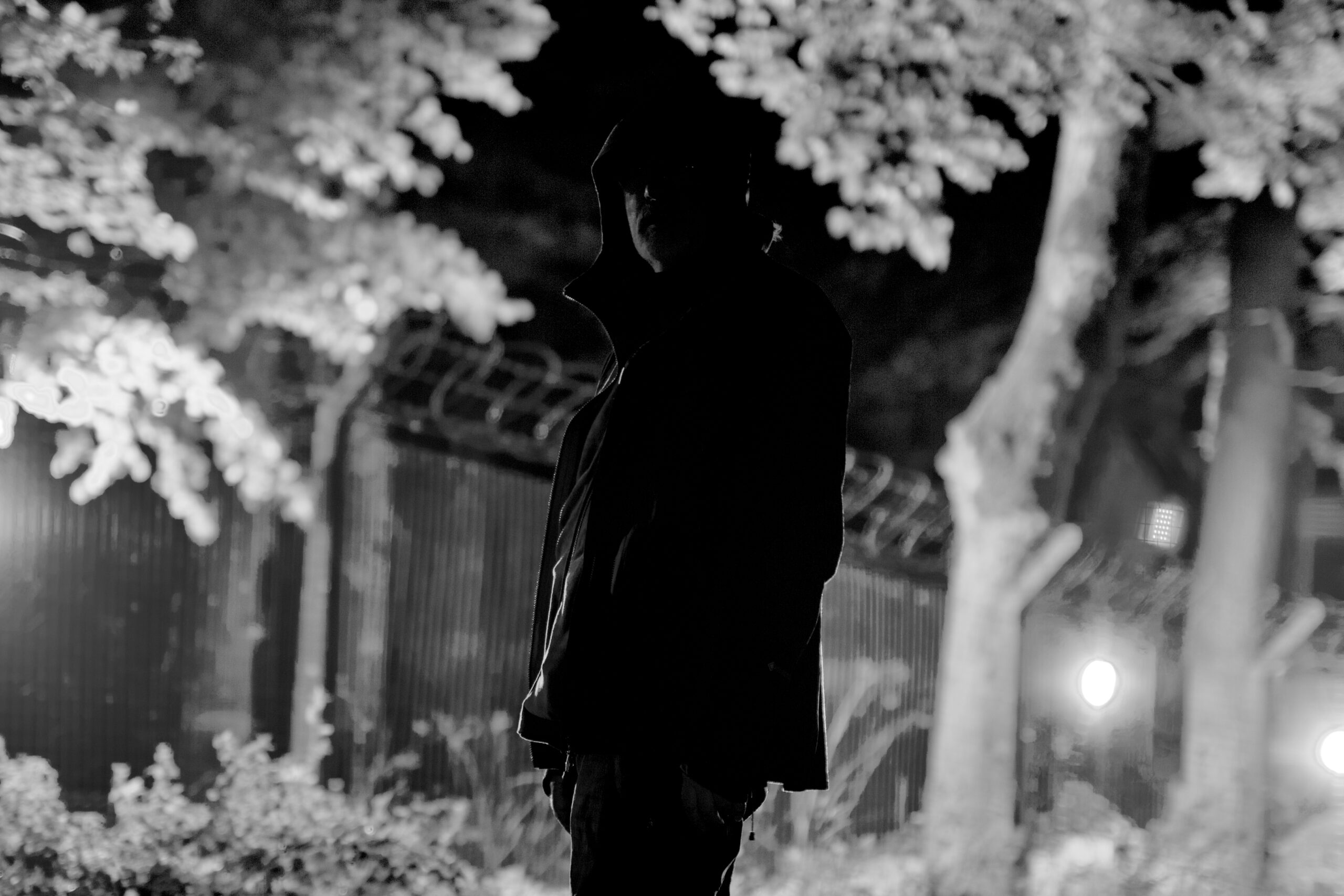 Craven Faults 2025 2