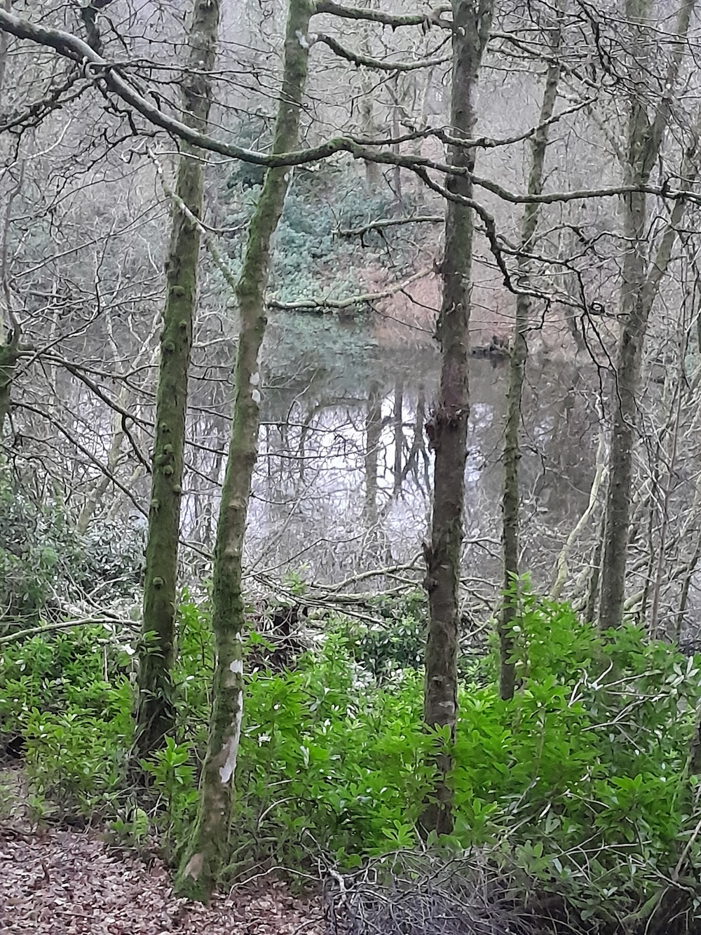 air an t-slighe_20261