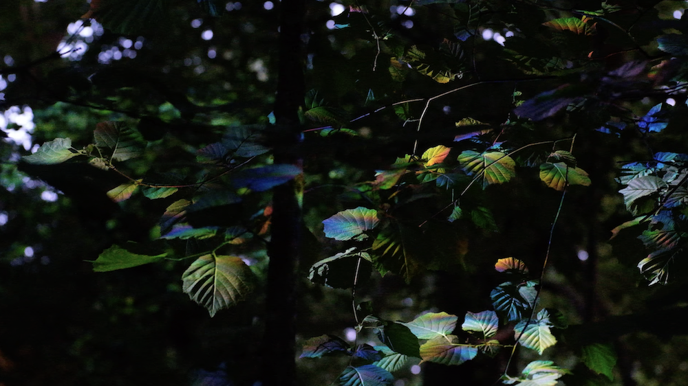 Screenshot 2025-08-05 at 22.51.32