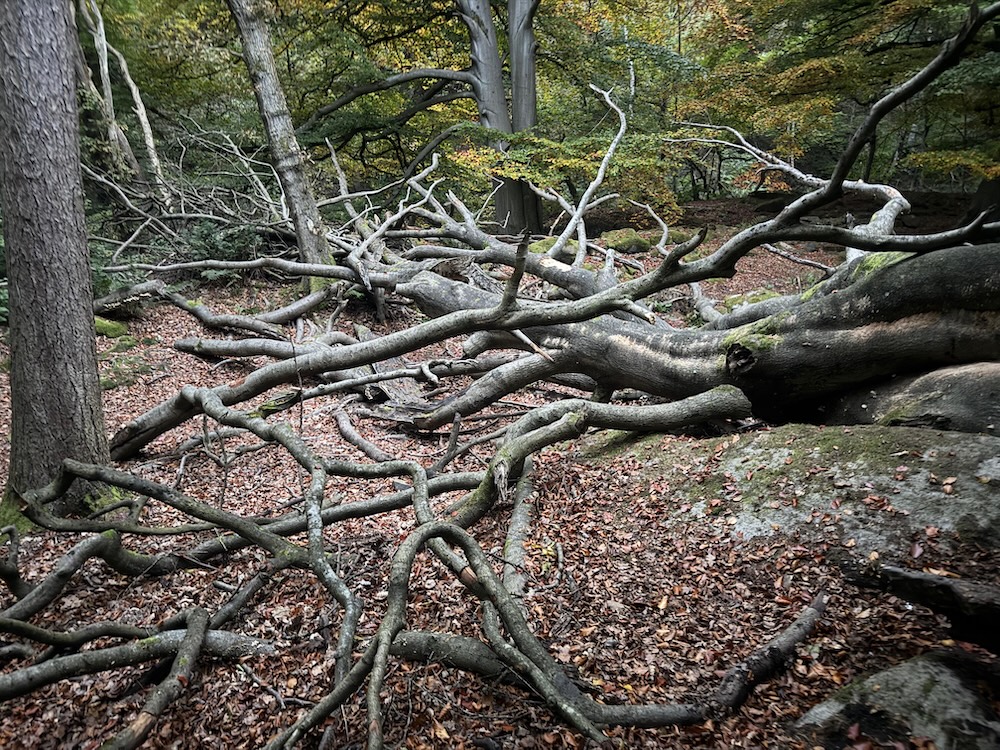 fa949f0c-927f-49ea-bd4d-1c106bf263d2 2