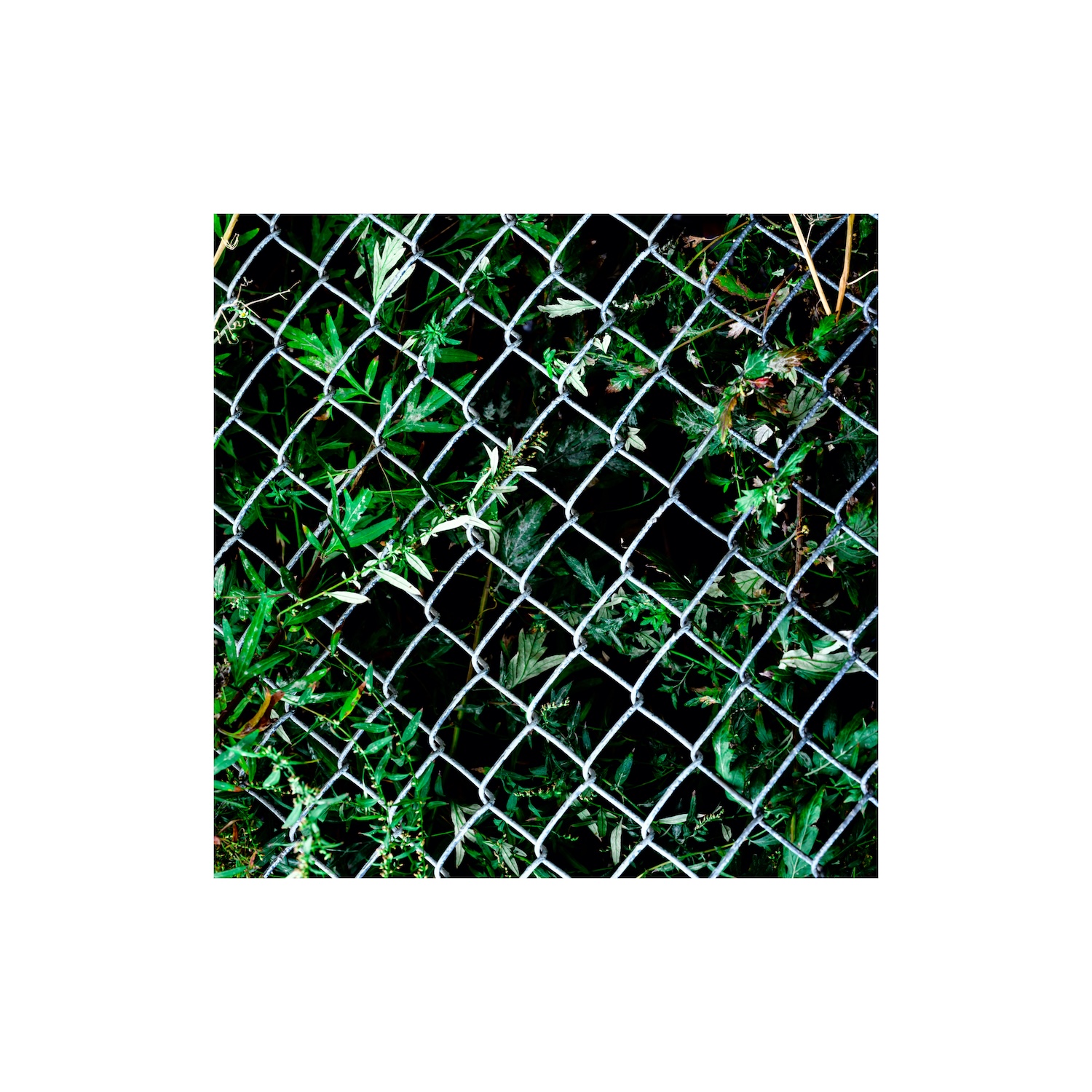 504 Aquatic – Urns [album art]-1500