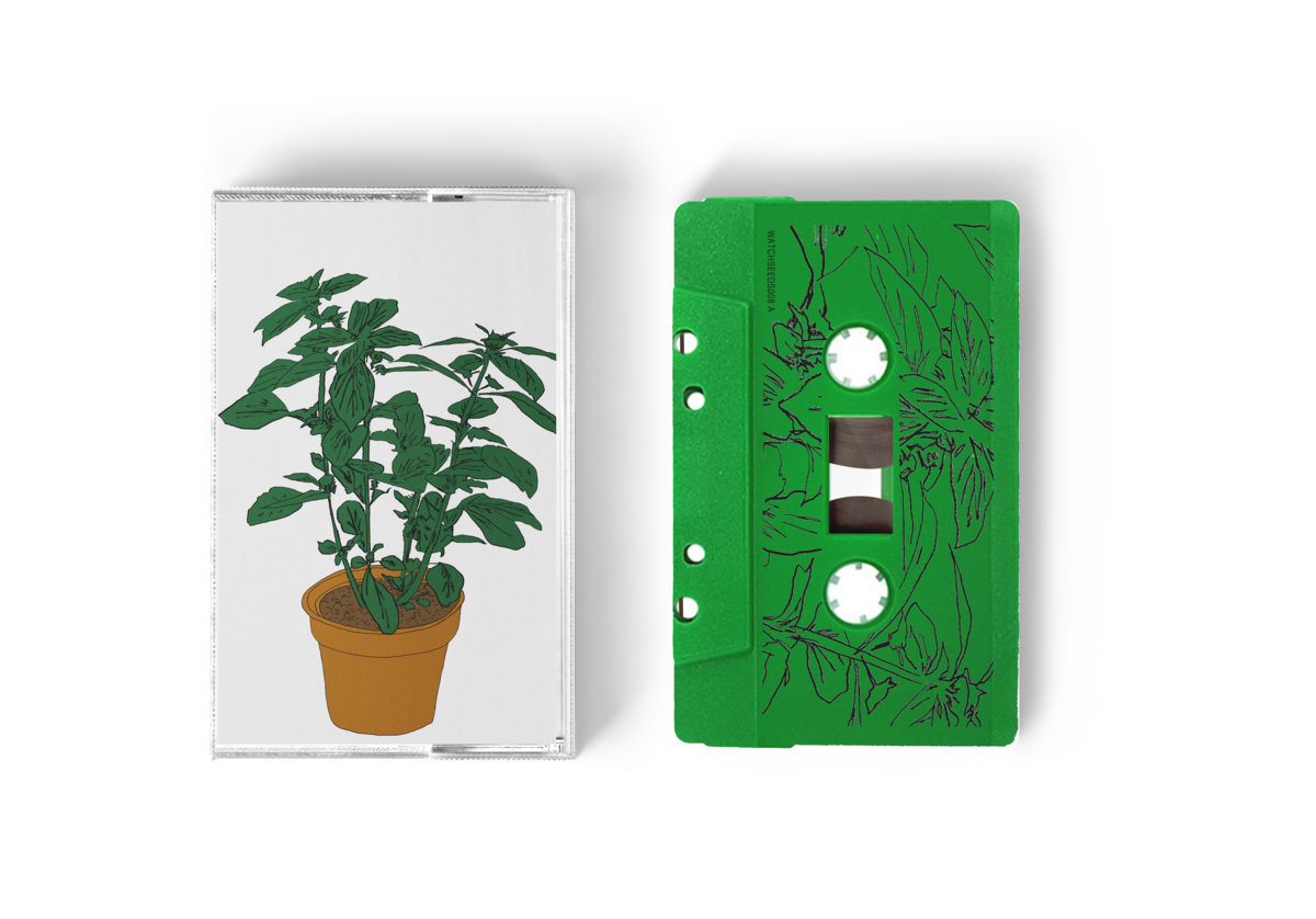 Salamanda – Music To Watch Seeds By – Basil – Cassette