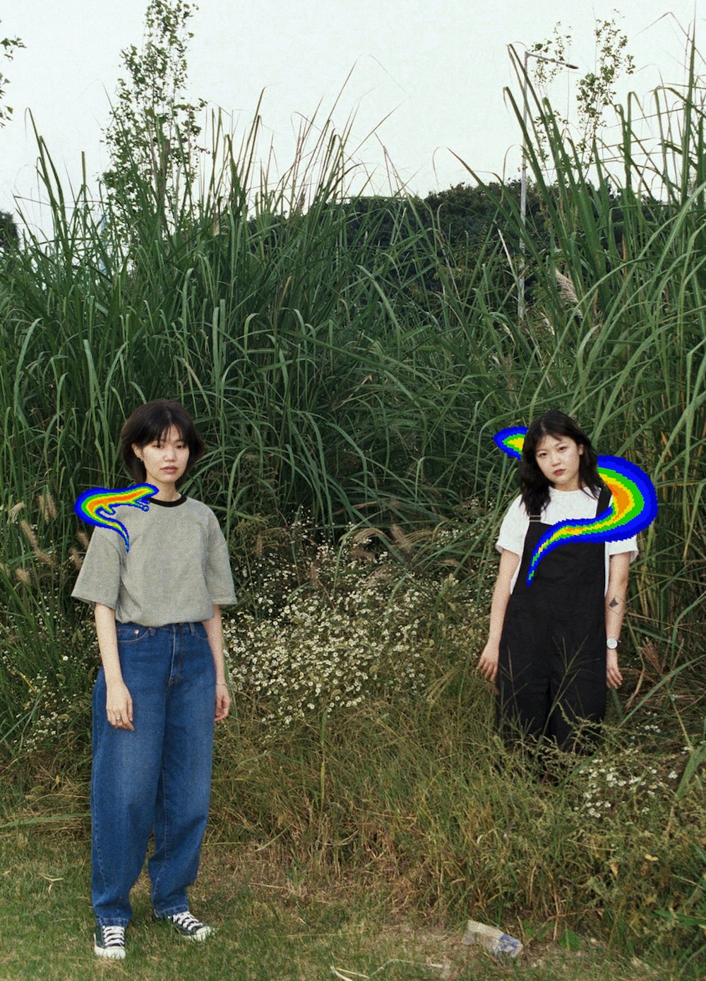 salamanda – music to watch seeds grow by – basil 008