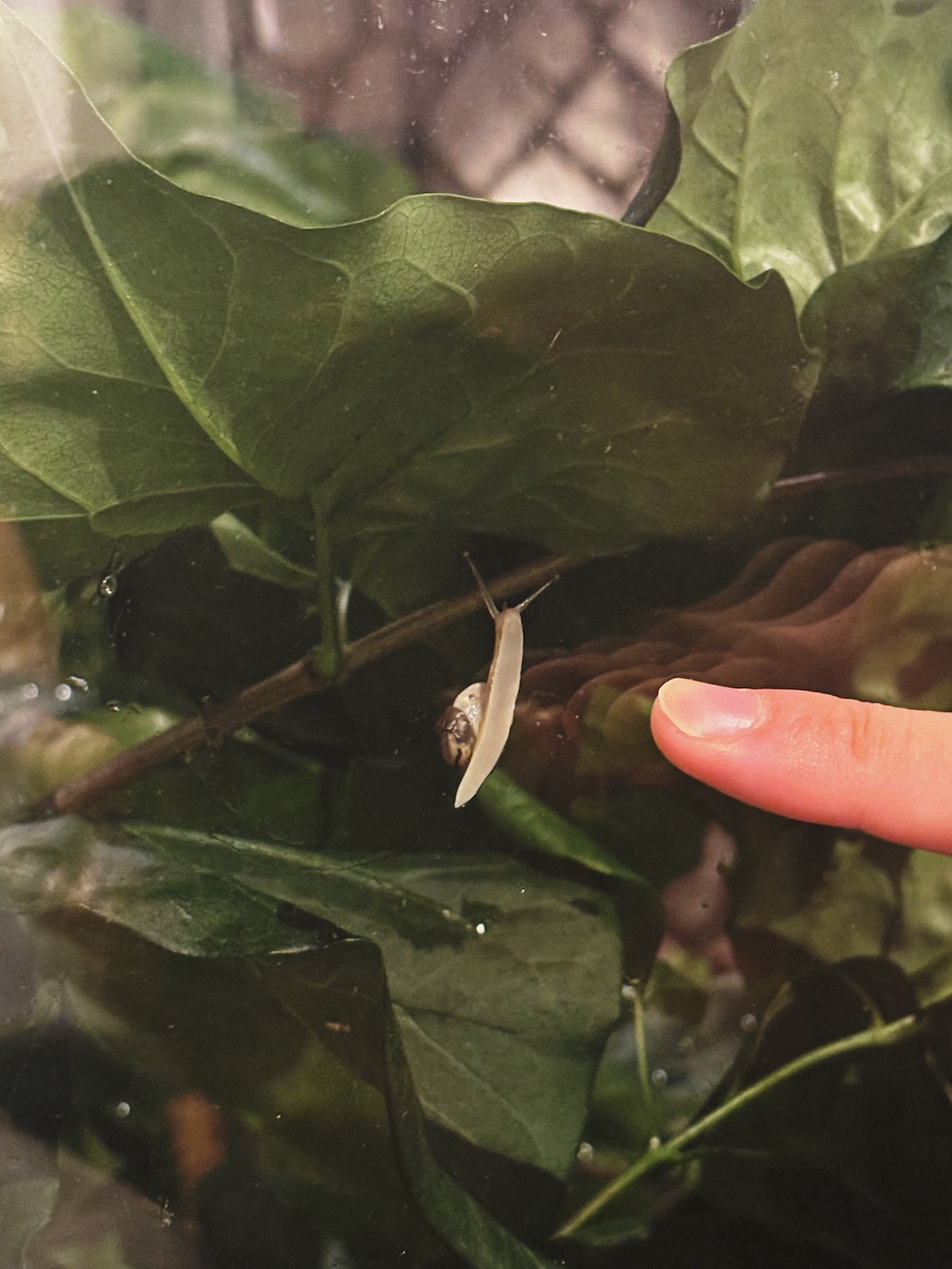 F3164FF8-7549-41EE-B655-6AE6424F96EA