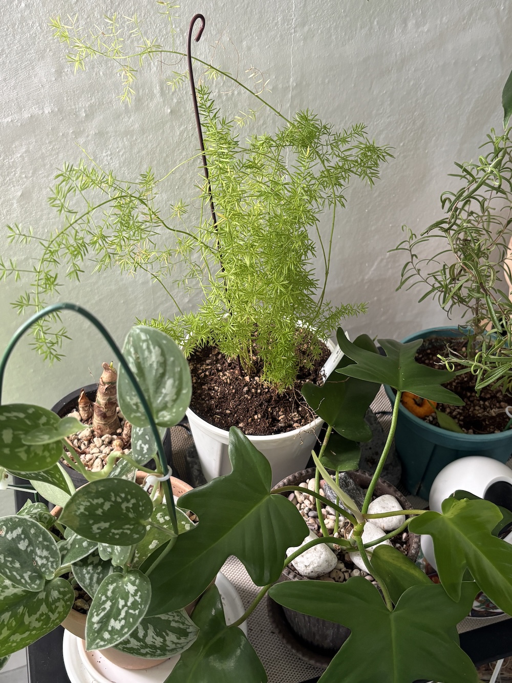 little forest grown together by Manda and my mom1