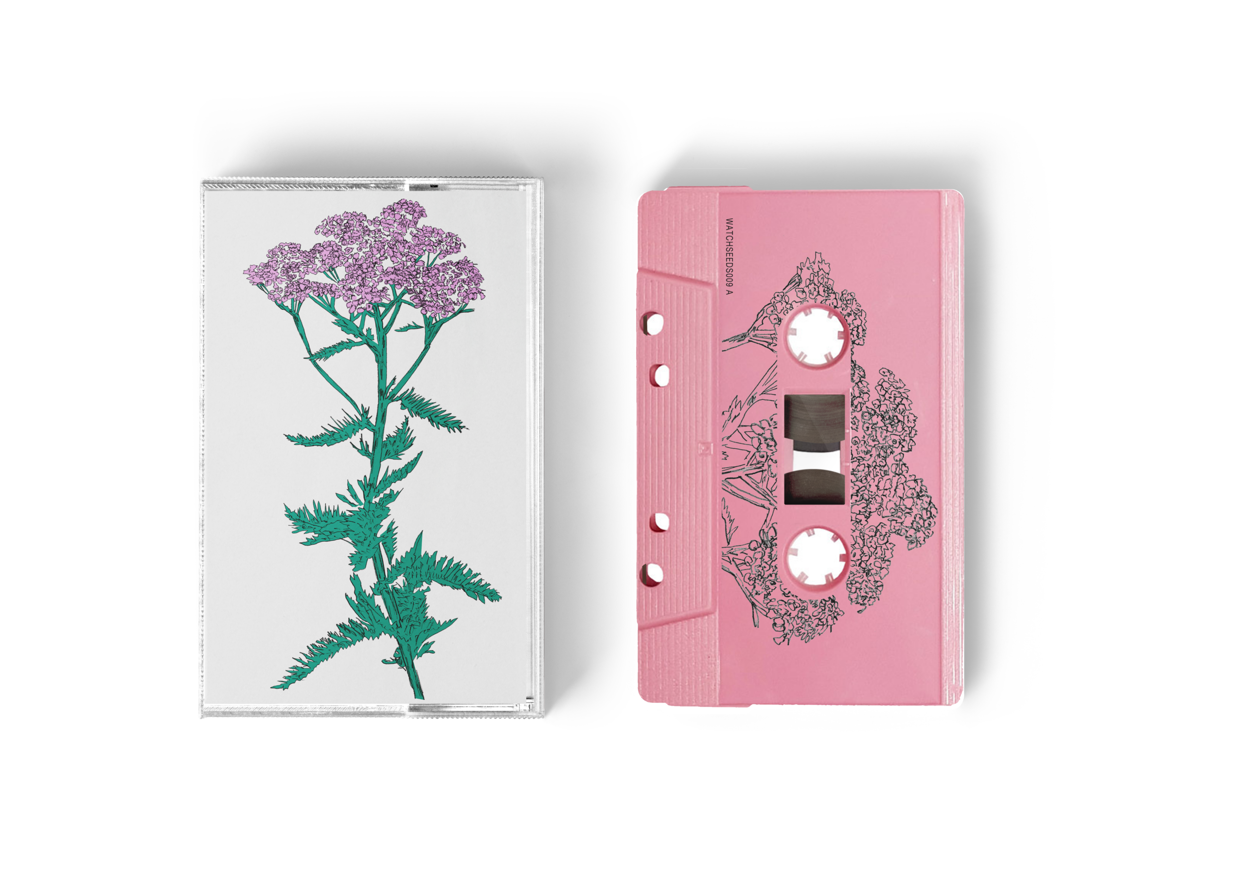 Patricia Wolf Mock Up